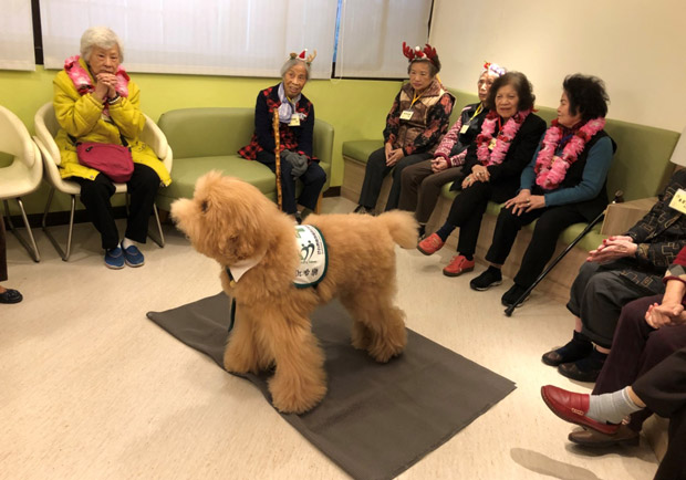 動物輔助的治療，預防延緩失智有成效