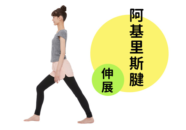 身體軟Q就健康：前彎柔軟伸展運動