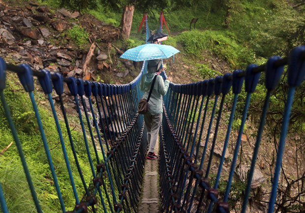 禿頭全怪酸雨？醫：髮量稀疏關鍵在毛囊