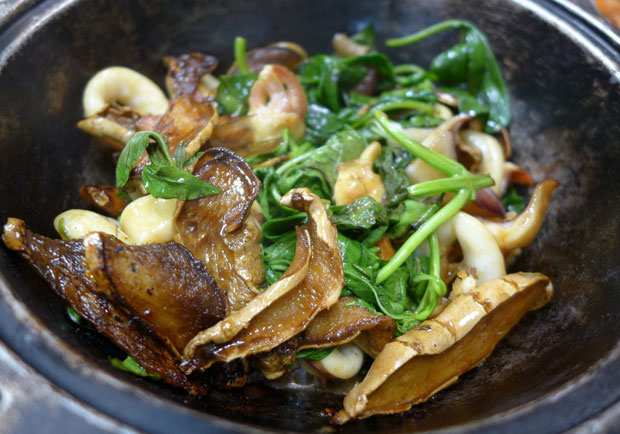 在地天然調味料！九層塔怎麼挑？如何保存？