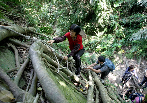 北榮副院長熱愛登山，奉勸「別因怕軟骨磨損就都待在家不動」