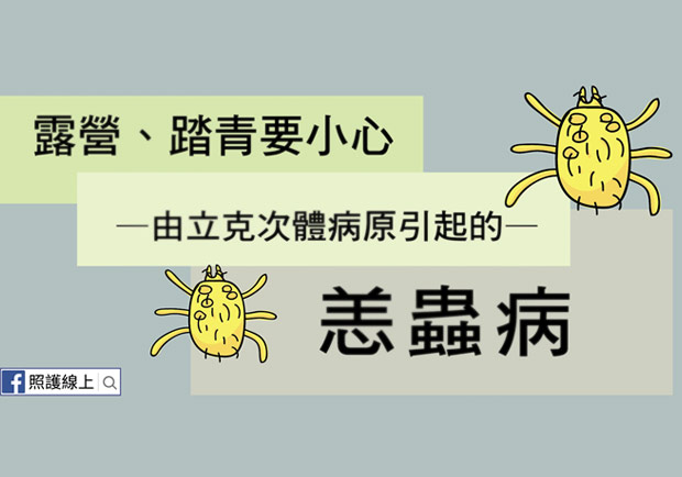 掃墓、露營小心恙蟲病找上門，致命率高達 60%！