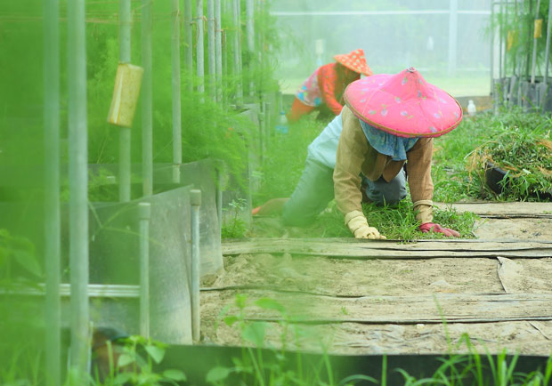 生活中的這 3 個動作超「傷膝」，承受重量高達體重8倍