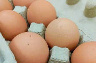 「卵磷脂成分」蛋黃中的好傢伙！正確食用保健康
