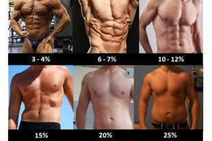 你被體脂肪率給束縛了嗎？