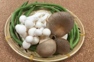 低卡鮮甜易料理　白色蕈菇平價山珍