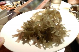 吃膠質養生，試試珊瑚草