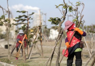 台灣慢性病危險因子排名 第四竟是PM2.5暴露