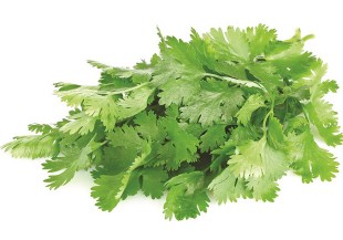 討厭香菜嗎？它的這些好處你可能還不知道