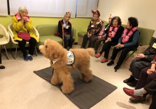 動物輔助的治療，預防延緩失智有成效