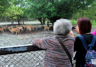 婆媳戰爭不再一觸即發！精神科醫師：從生命歷程出發