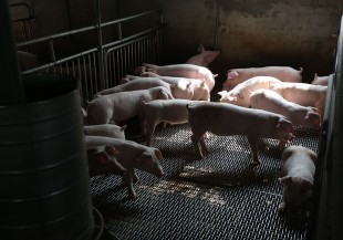 2018年食安議題這些都上榜，你關注了幾個？