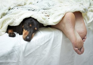 冬天手腳冰冷睡不好，中醫師 3 招讓身體熱起來