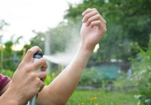 小黑蚊跟蚊子有什麼不同？怎麼做才不會被叮？全攻略剖析