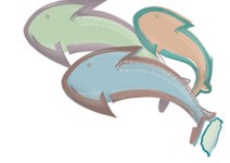 科技小巨人 淺灘獲利學