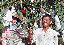 改變使用農藥的傳統模式 在地農民打開世界大門