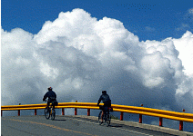 上班族新生活運動 Gap Year 休耕