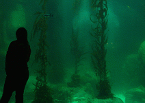 台肥、幸福水泥藉深層海水轉型 台灣東岸湧現「淘藍金潮」