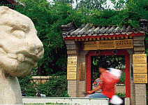 北大學術造假？