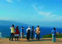 2006外商投資台灣意願調查 六成信心降、質疑政府清廉最看好觀光與生技