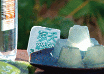 2006最佳創新／社會運動與生活風格 左右未來消費樂活LOHAS