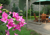 把樂活搬進自家 新園藝運動 療癒花園