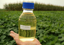 能源作物開啟農業新出路 當農夫變成能源大亨