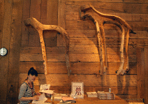 時髦新和風 Midtown概念店，最新創意都在這