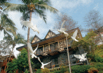 東南亞觀光客的最愛 休閒農場，四年成長32倍