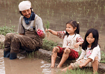 新耕者有其田 農地銀行改寫台灣農業史