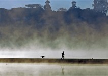 集農業、能源、環保於一身 巴西 逆風而上的大經濟體