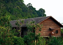 從生態飯店、雨林鐵人，到部落文化……砂勞越祕境，雨林變黃金