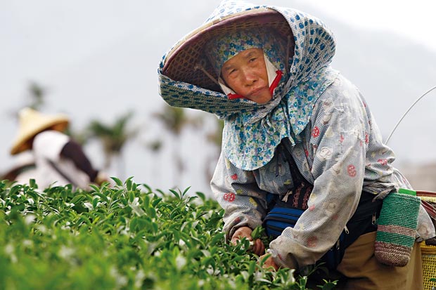 天氣重挫景氣，庶民百業找出路