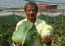 台中新社鄉果農 陳水良 讀遠見雜誌 做藍海農夫