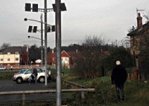 減少排碳29% 揚名國際