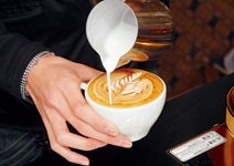 管他A咖B咖，只愛這一咖