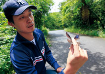 詹家龍 為百萬隻紫斑蝶開道