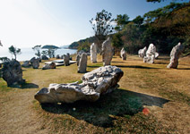 海洋復活記