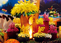 2011 MIT台灣花卉展 讓你把花園帶回家