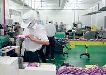 廣西、雲南設廠 餵養東協加一近20億張嘴