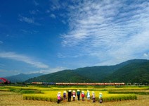 第100個新台灣之光就是你