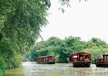 西溪溼地 非誠勿擾