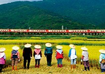 網友人氣PK， 催生第100位新台灣之光