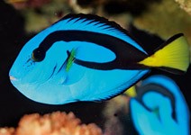 農業科技展 看見農林漁牧的台灣之光