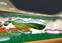 舒活．樂活 教你用植栽輕鬆過生活