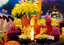 2011 MIT台灣花卉展 讓你把花園帶回家