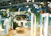 花姿秋色 9種造景一次感受