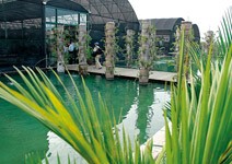 推行綠色經濟， 保護環境又能提高所得