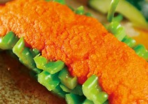 從人文空間到生活顧問團