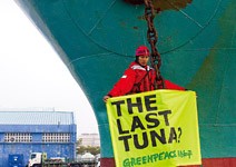 為永續漁業和監督造紙業 前進台灣